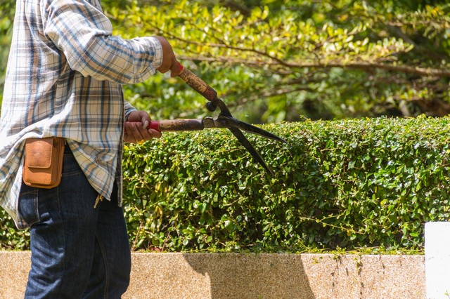 Garden Maintenance West Kensington, W14