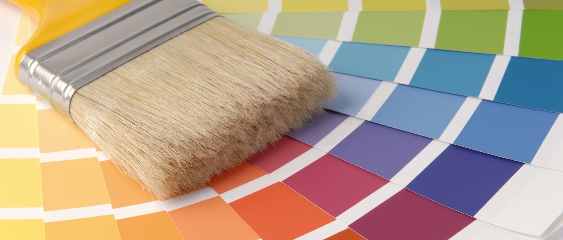 Painter W14